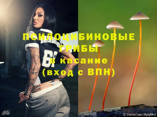 экстази Арсеньев