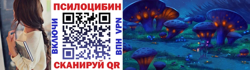 Галлюциногенные грибы мухоморы Чернушка