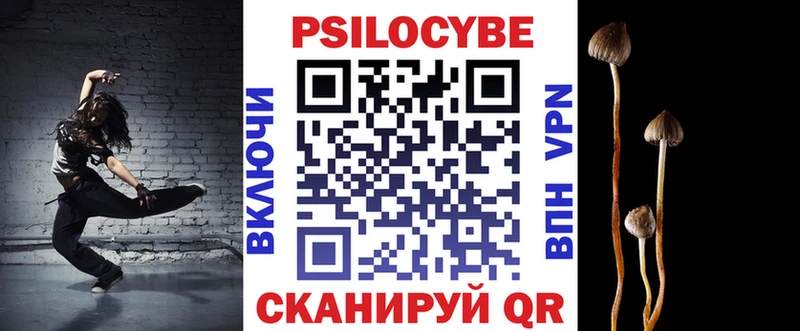omg ссылка  Чернушка  Псилоцибиновые грибы мицелий 